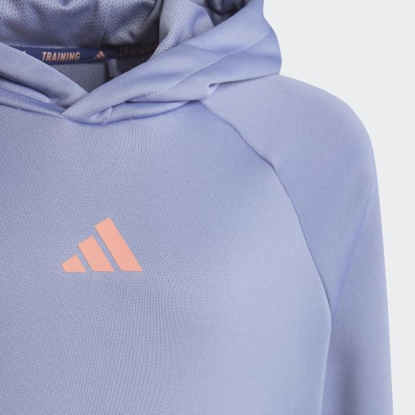 Train Icons AEROREADY 3-Stripes Hoodie Adidas Silver Violet