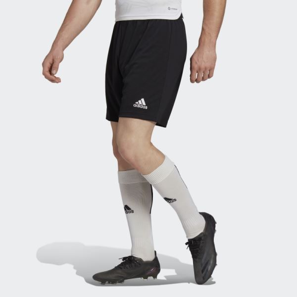 Entrada 22 Shorts Adidas Black Stylish