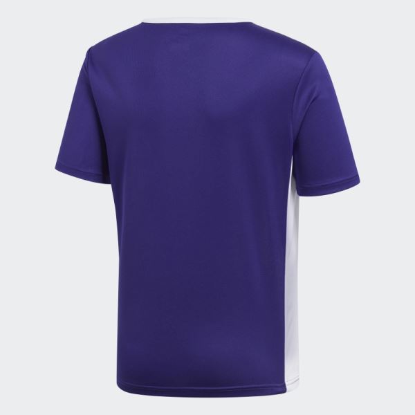 Purple Adidas Entrada Jersey