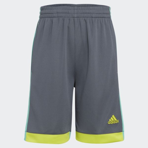 Winner Shorts Adidas Grey Green