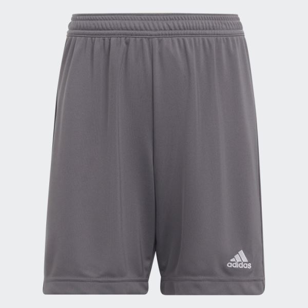 Adidas Grey Entrada 22 Shorts