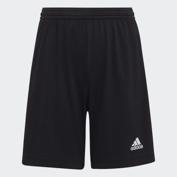 Entrada 22 Shorts Black Adidas