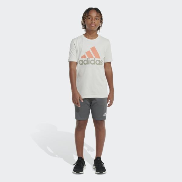 Aluminium Adidas Two-Tone Badge of Sport Tee