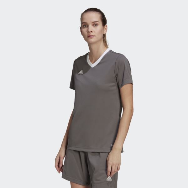 Adidas Entrada 22 Jersey Grey