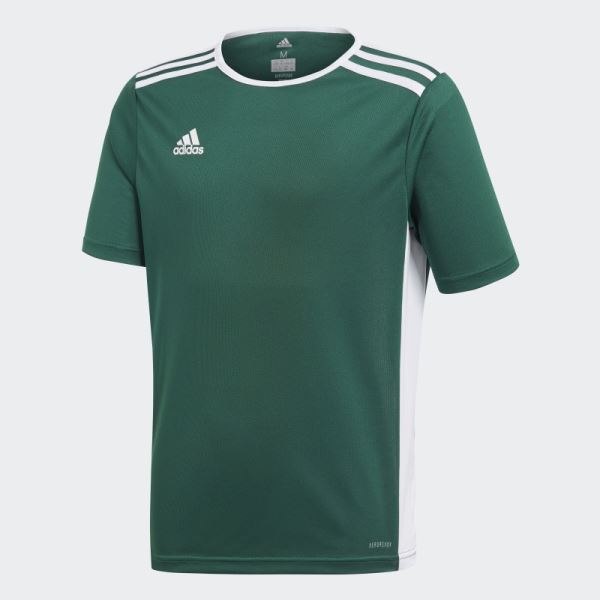 Green Adidas Entrada Jersey