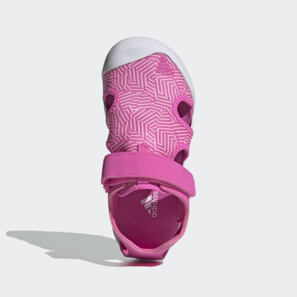 Pink Terrex Captain Toey Sandals Adidas