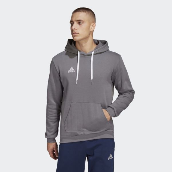 Entrada 22 Sweat Hoodie Adidas Grey