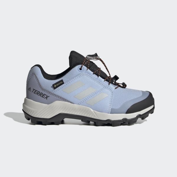 Blue Dawn Adidas Terrex GORE-TEX Hiking Shoes