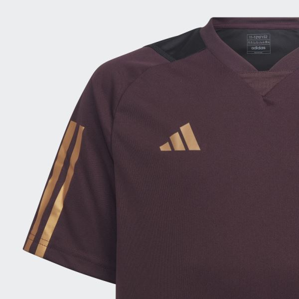 Maroon Adidas Germany Tiro 23 Training Jersey