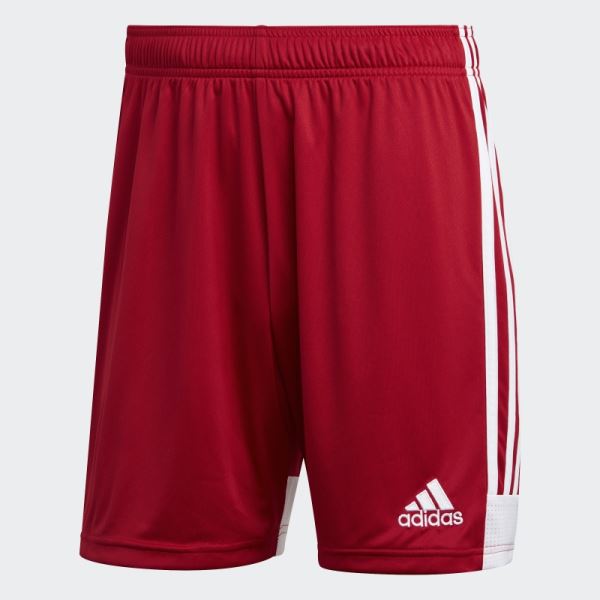 Adidas Tastigo 19 Shorts White