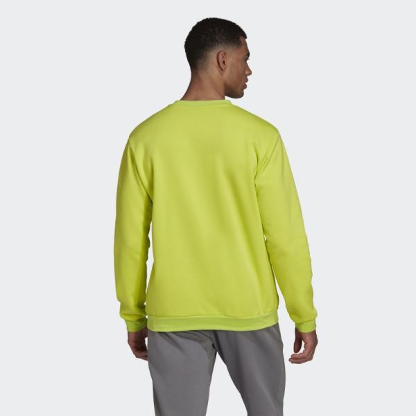 Entrada 22 Sweatshirt Sol Yellow Adidas Fashion