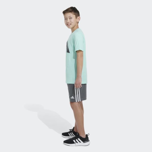 Adidas Green SS CAMO LOGO TEE