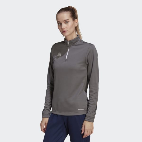 Grey Entrada 22 Training Top Adidas