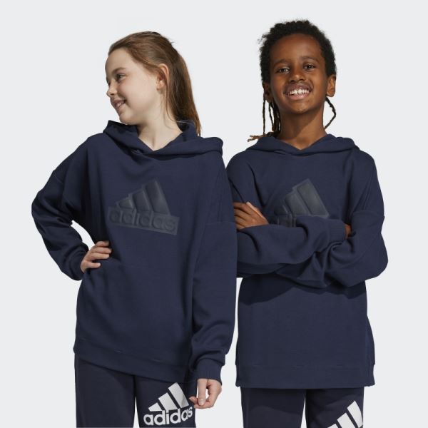 Future Icons Logo Hooded Sweatshirt Ink Adidas