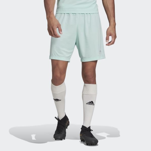 Mint Adidas Entrada 22 Shorts