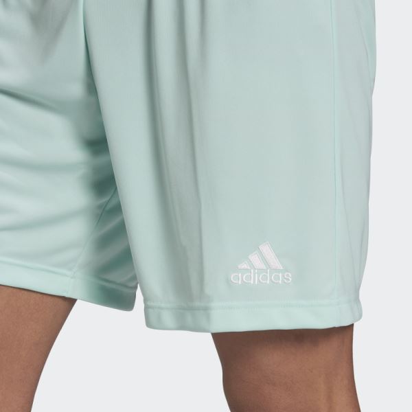 Mint Adidas Entrada 22 Shorts