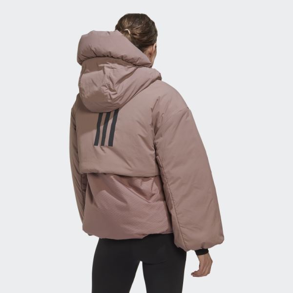 TERREX MYSHELTER COLD.RDY Jacket Adidas Purple