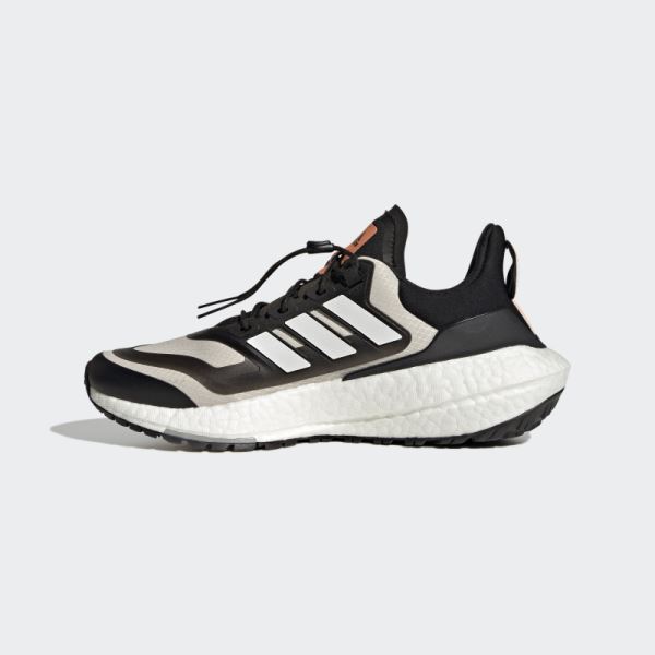 Adidas Aluminium Ultraboost 22 COLD.RDY 2.0 Shoes