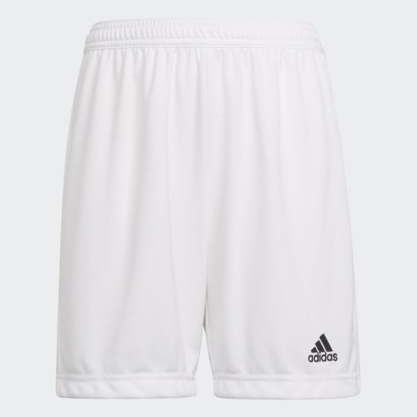 Adidas White Entrada 22 Shorts