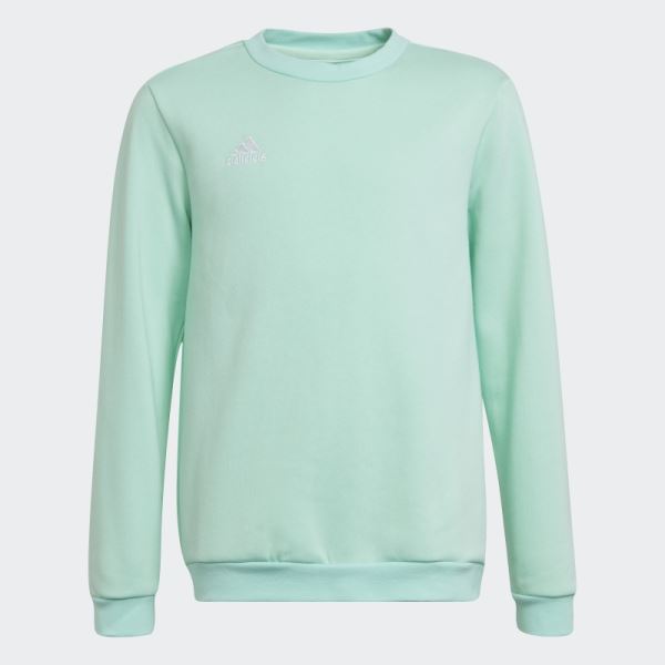 Entrada 22 Sweatshirt Adidas Mint