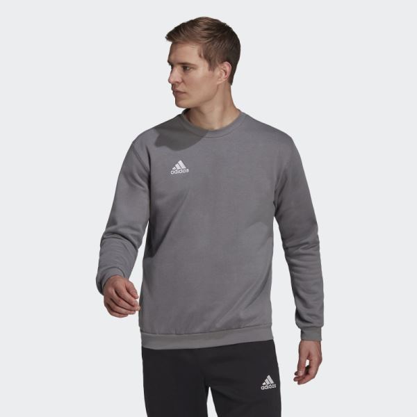 Entrada 22 Sweatshirt Grey Adidas