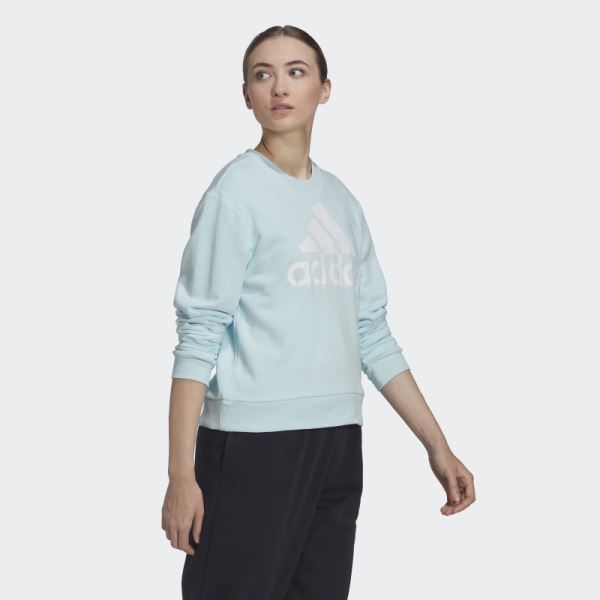 Adidas Essentials Logo Loose Sweatshirt Blue