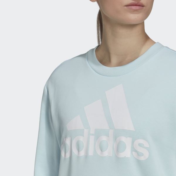 Adidas Essentials Logo Loose Sweatshirt Blue