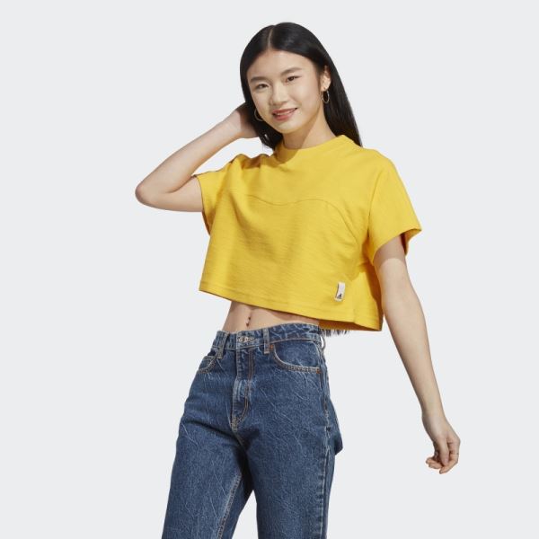 Lounge Terry Loop Crop Top Adidas Gold