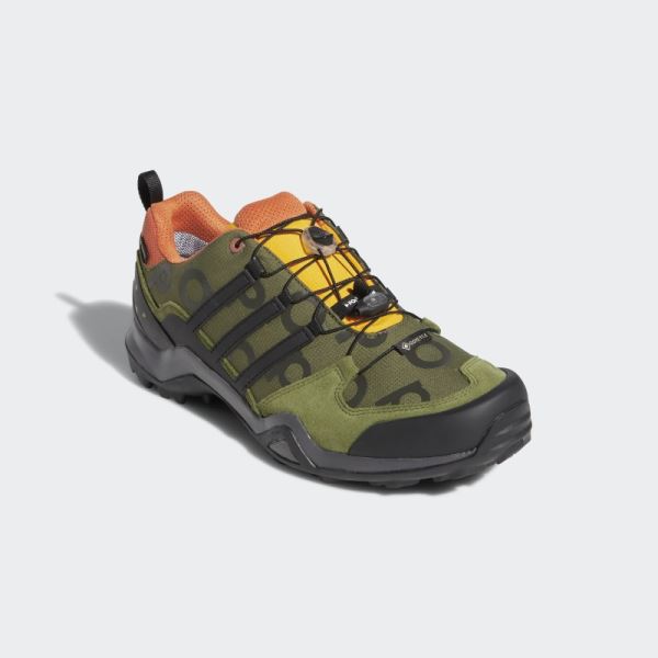 Adidas Pine Pop Swift R2 GTX Shoes